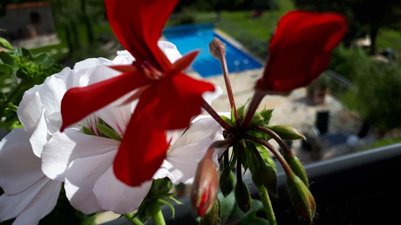Pension Am Weinberg Bed & Breakfast Mainstockheim Exterior foto