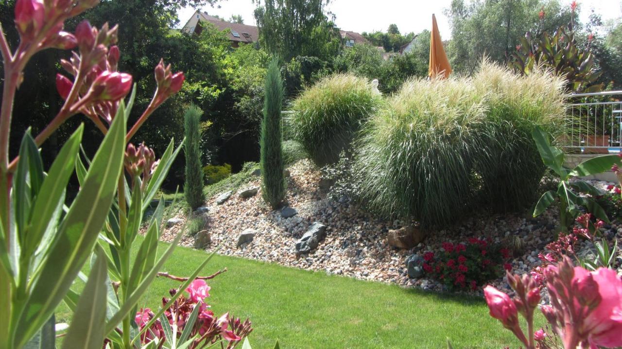 Pension Am Weinberg Bed & Breakfast Mainstockheim Exterior foto